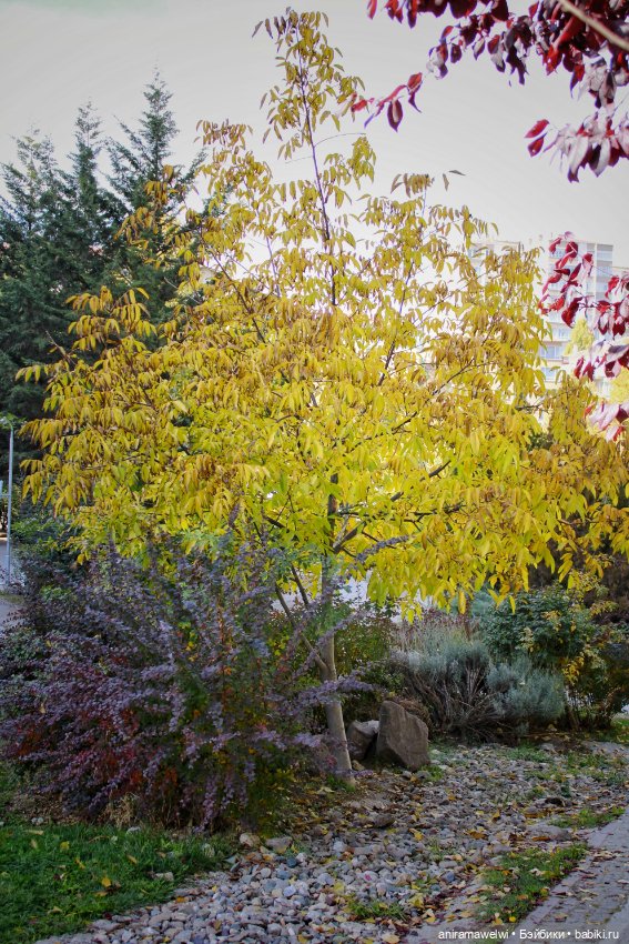 Осень — Куклы Barbie (Барби): Looks (фото 10)