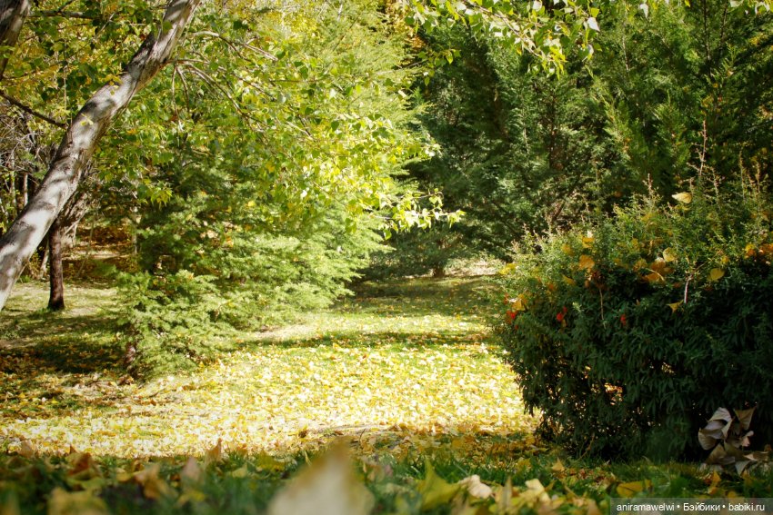 Осень — Куклы Barbie (Барби): Looks