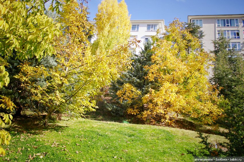 Осень — Куклы Barbie (Барби): Looks