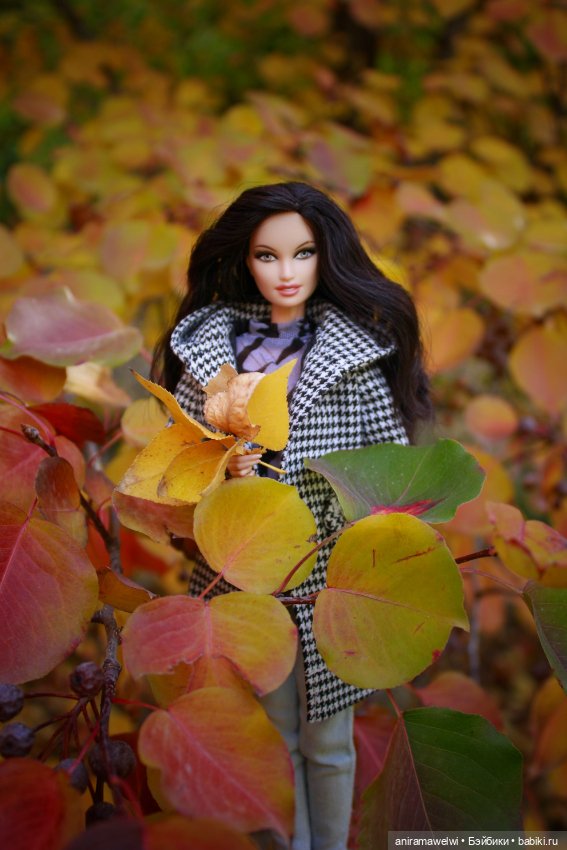 Осень — Куклы Barbie (Барби): Looks