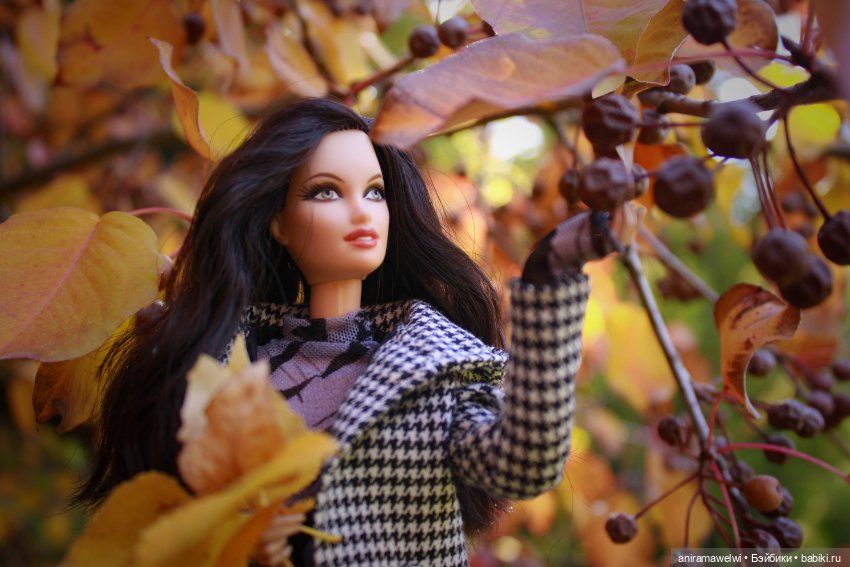 Осень — Куклы Barbie (Барби): Looks (фото 3)