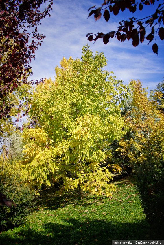 Осень — Куклы Barbie (Барби): Looks (фото 2)