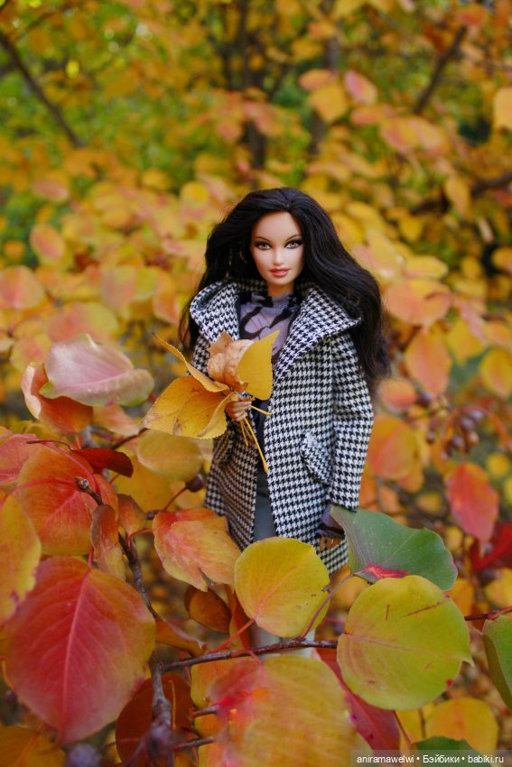 Осень — Куклы Barbie (Барби): Looks
