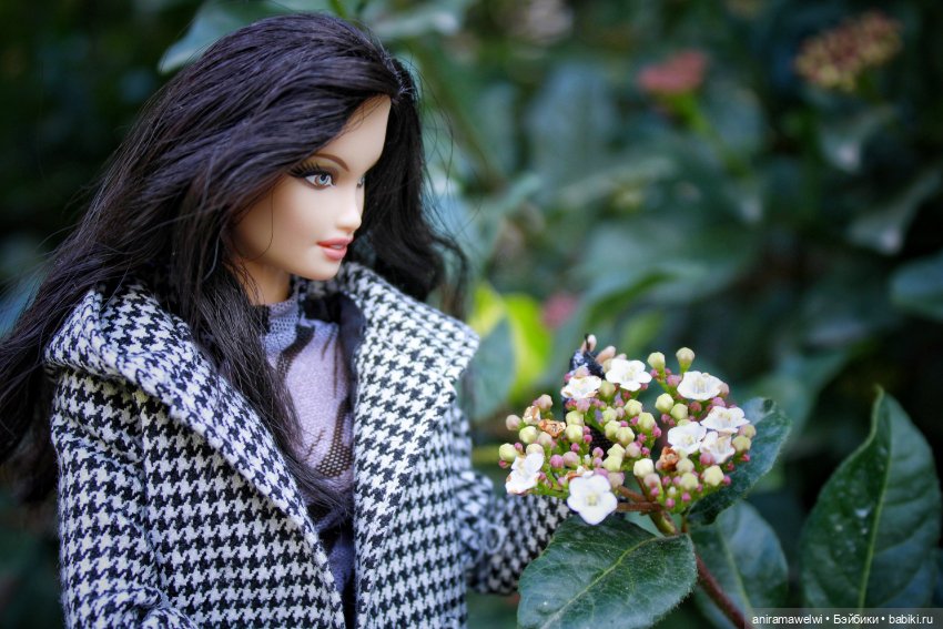 Осень — Куклы Barbie (Барби): Looks