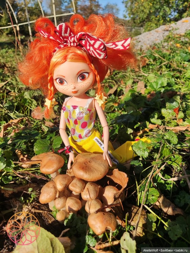 Грибная пора прошла — Игровые куклы разных производителей (Разное): редкие бренды (фото 3)