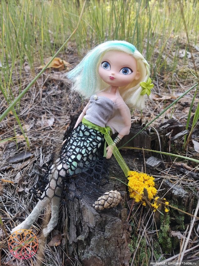 Грибная пора прошла — Игровые куклы разных производителей (Разное): редкие бренды (фото 2)