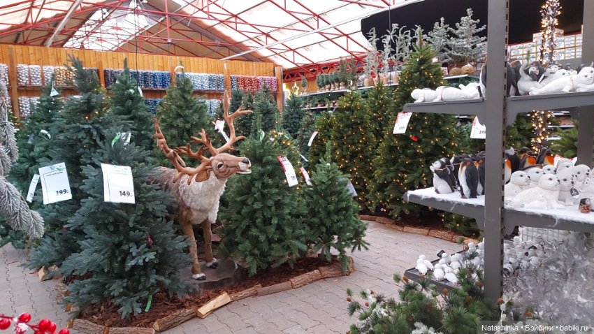 Fashion Dolls 435 — Туризм и путешествия: фотоотчеты из поездок