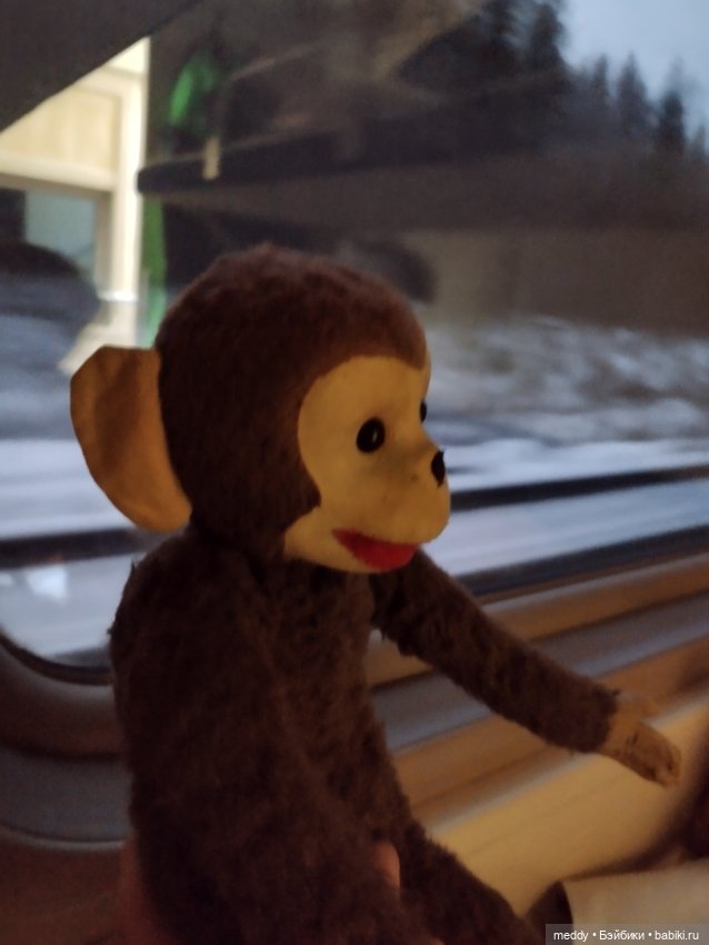 Один счастливый день, или как мы с подругой нашли своих обезьянок детства