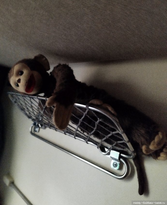 Один счастливый день, или как мы с подругой нашли своих обезьянок детства