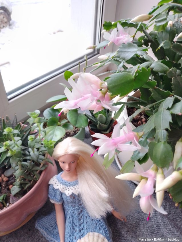 Сериал "Когда цветёт декабрист", серия 3, заключительная: моя главная кукольная любовь