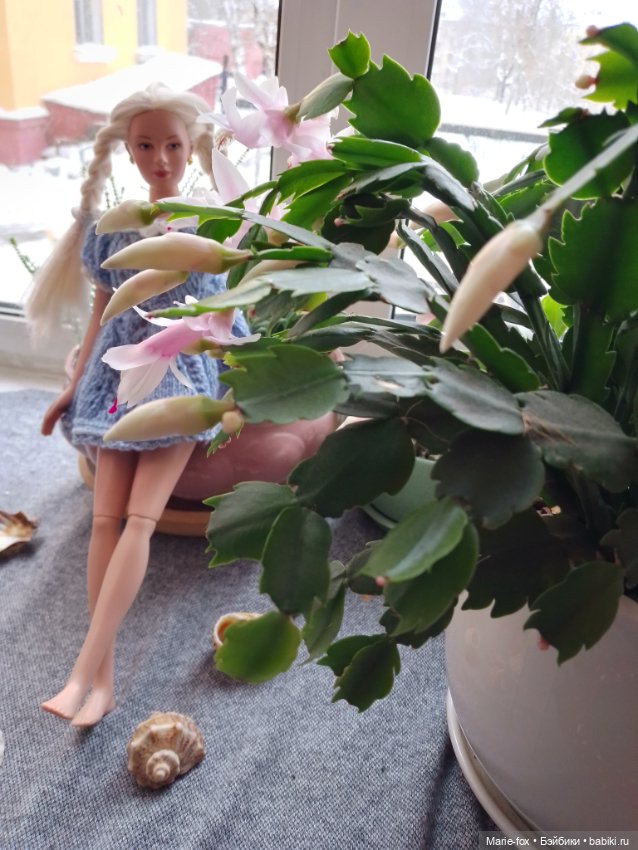 Сериал "Когда цветёт декабрист", серия 3, заключительная: моя главная кукольная любовь