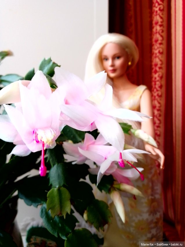 Сериал "Когда цветёт декабрист", серия 3, заключительная: моя главная кукольная любовь