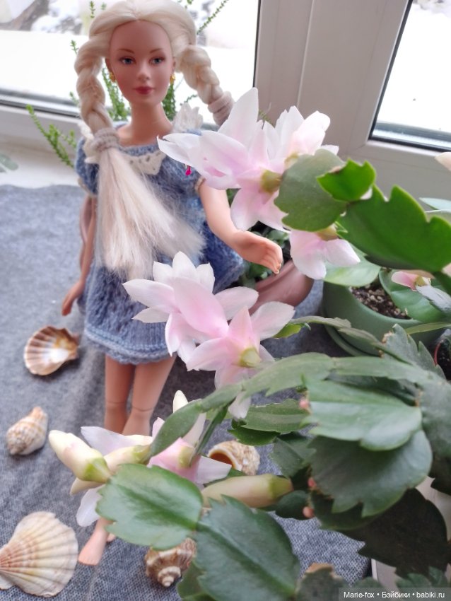 Сериал "Когда цветёт декабрист", серия 3, заключительная: моя главная кукольная любовь