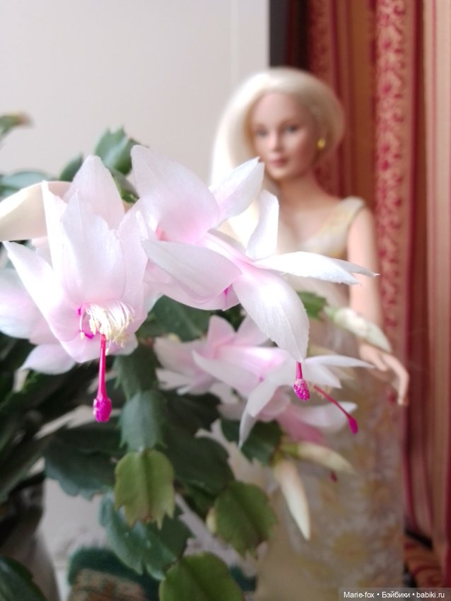 Сериал "Когда цветёт декабрист", серия 3, заключительная: моя главная кукольная любовь