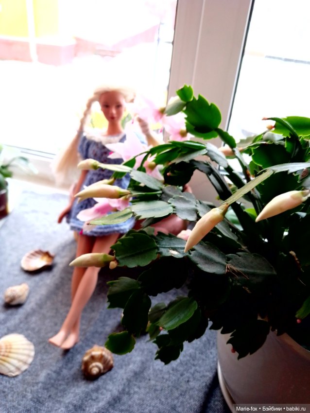 Сериал "Когда цветёт декабрист", серия 3, заключительная: моя главная кукольная любовь