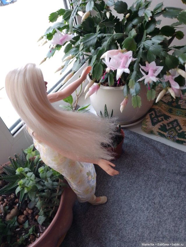 Сериал "Когда цветёт декабрист", серия 3, заключительная: моя главная кукольная любовь