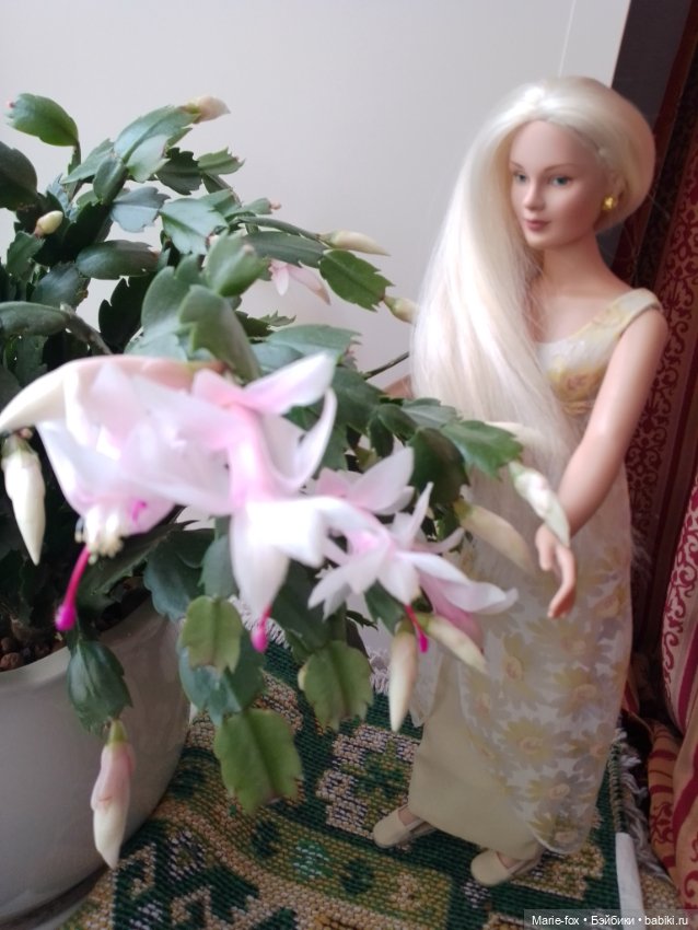 Сериал "Когда цветёт декабрист", серия 3, заключительная: моя главная кукольная любовь