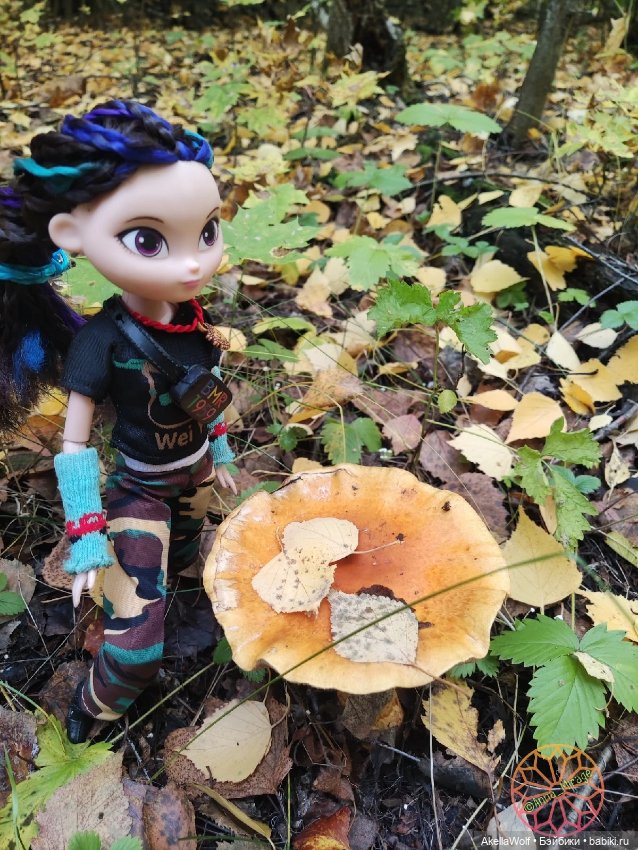 Яркие краски прошедшего октября (фото 4)