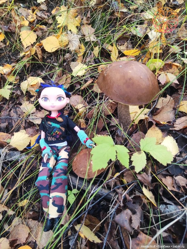 Яркие краски прошедшего октября (фото 6)