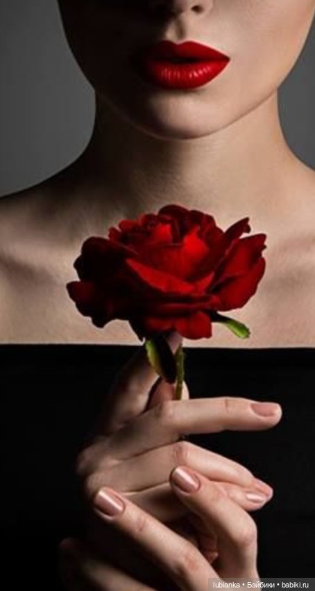 Бордовой розы бархатный наряд🥀❄️ (фото 2)