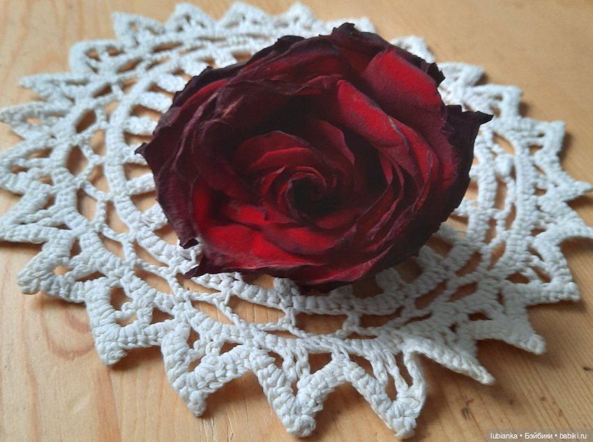 Бордовой розы бархатный наряд🥀❄️ (фото 8)