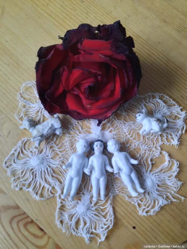 Бордовой розы бархатный наряд🥀❄️