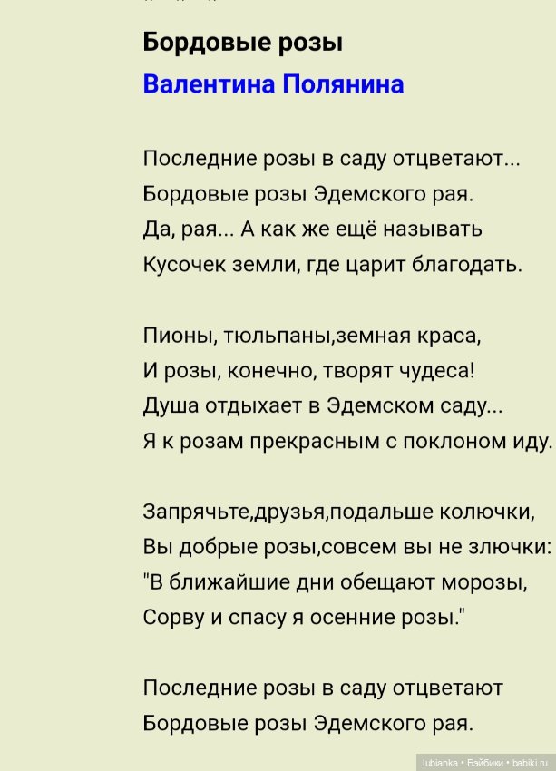 Бордовой розы бархатный наряд🥀❄️ (фото 5)