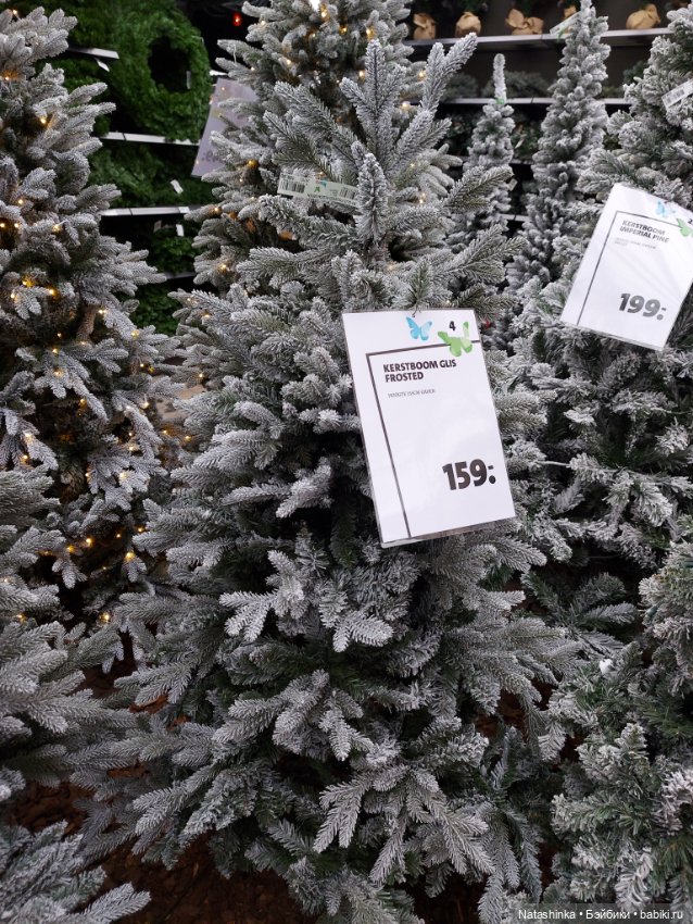 Fashion Dolls 439 — Туризм и путешествия: фотоотчеты из поездок