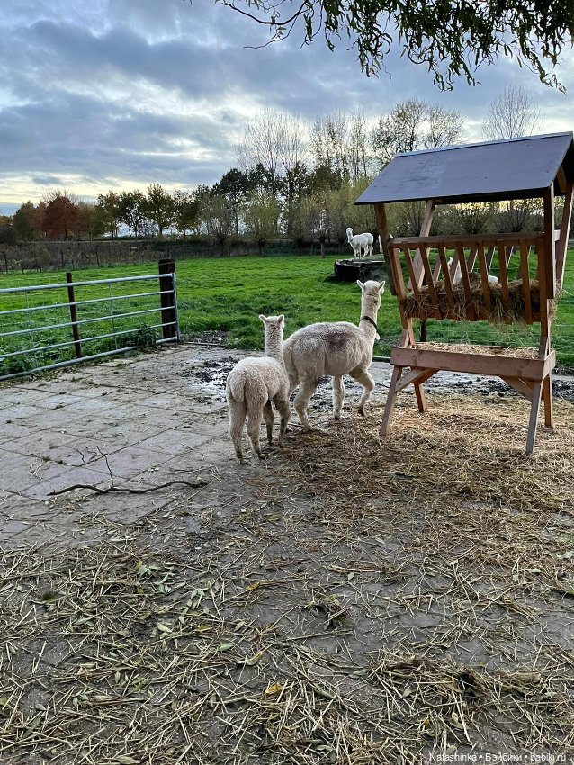 Fashion Dolls 440 — Туризм и путешествия: фотоотчеты из поездок (фото 9)