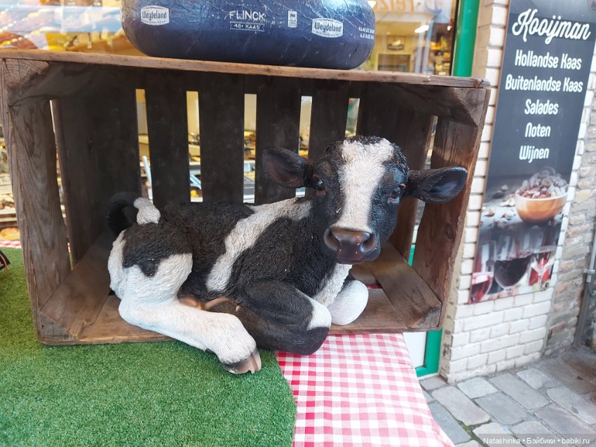 Fashion Dolls 440 — Туризм и путешествия: фотоотчеты из поездок (фото 5)