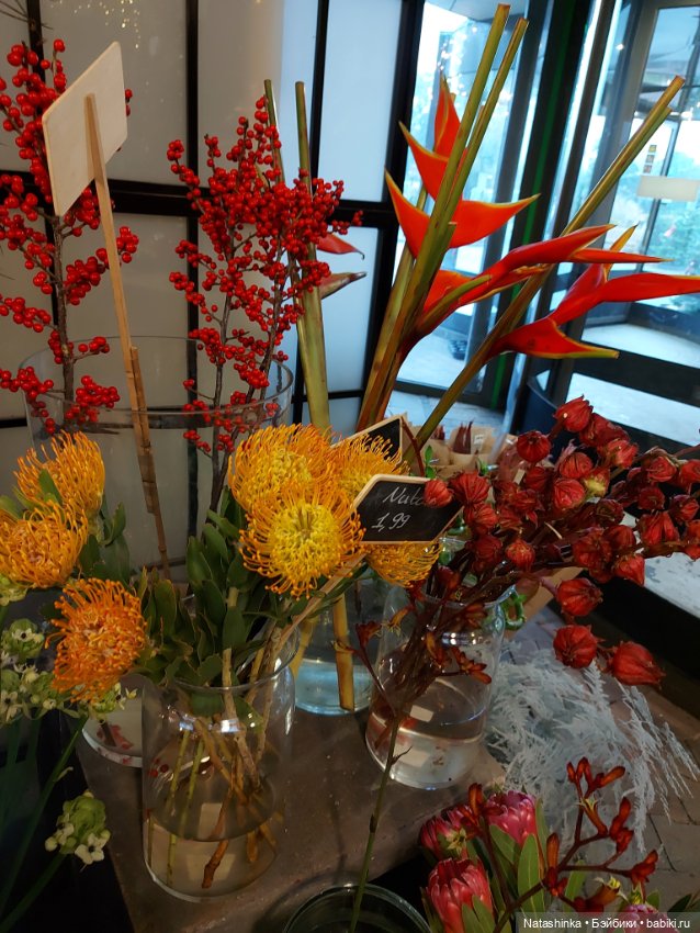 Fashion Dolls 440 — Туризм и путешествия: фотоотчеты из поездок