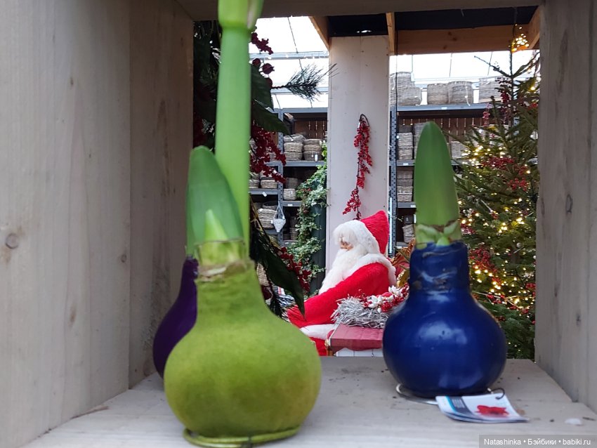 Fashion Dolls 440 — Туризм и путешествия: фотоотчеты из поездок