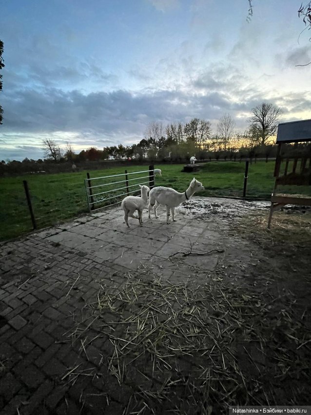 Fashion Dolls 440 — Туризм и путешествия: фотоотчеты из поездок (фото 8)