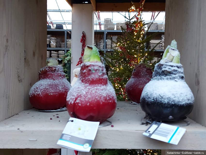 Fashion Dolls 440 — Туризм и путешествия: фотоотчеты из поездок