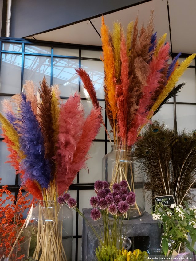 Fashion Dolls 440 — Туризм и путешествия: фотоотчеты из поездок