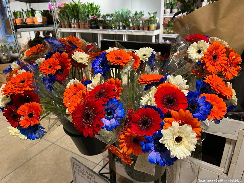 Fashion Dolls 440 — Туризм и путешествия: фотоотчеты из поездок (фото 6)