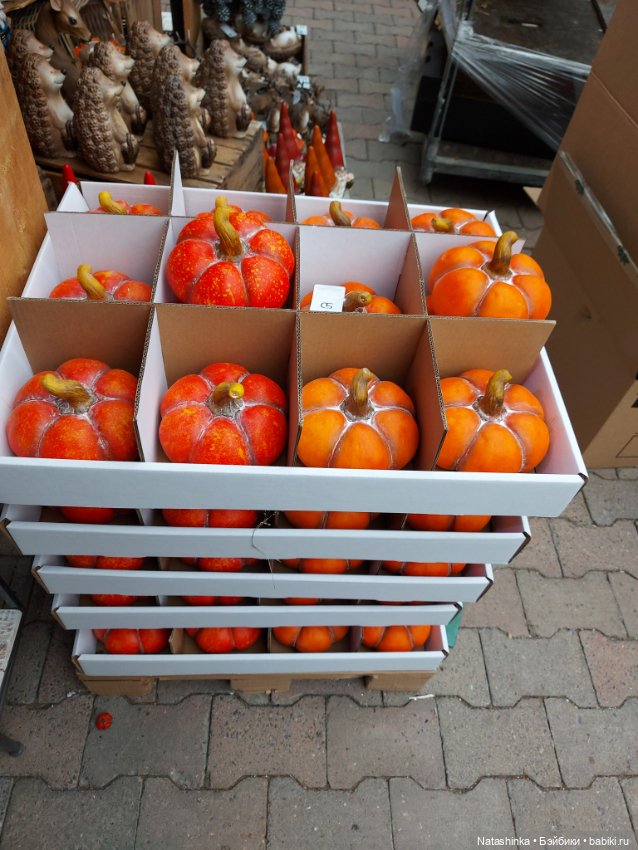 Fashion Dolls 440 — Туризм и путешествия: фотоотчеты из поездок