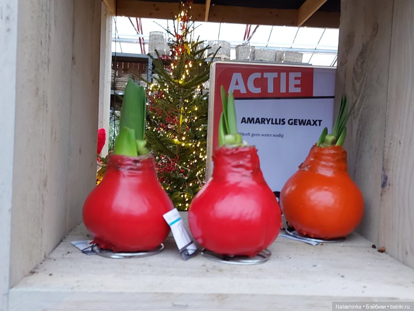 Fashion Dolls 440 — Туризм и путешествия: фотоотчеты из поездок