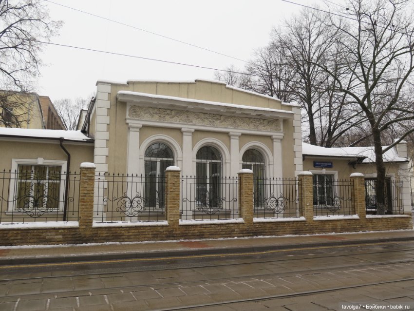 Кира-Кандис "Умница" и зима снова (фото 2)