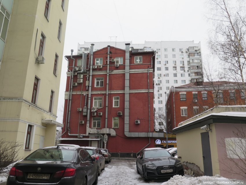 Кира-Кандис "Умница" и зима снова