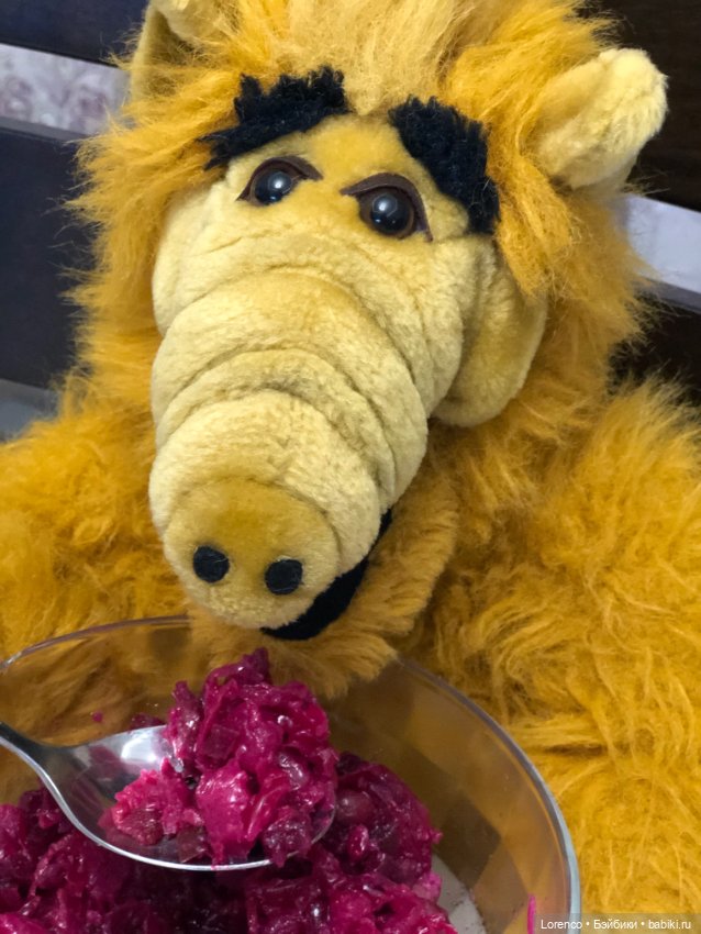 Инопланетная форма жизни ALF (фото 2)