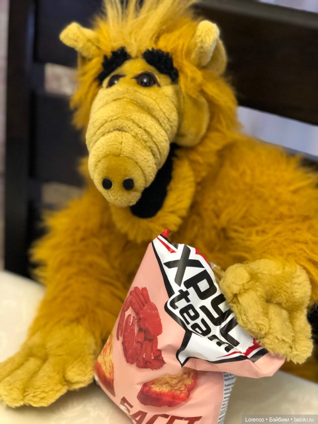 Инопланетная форма жизни ALF