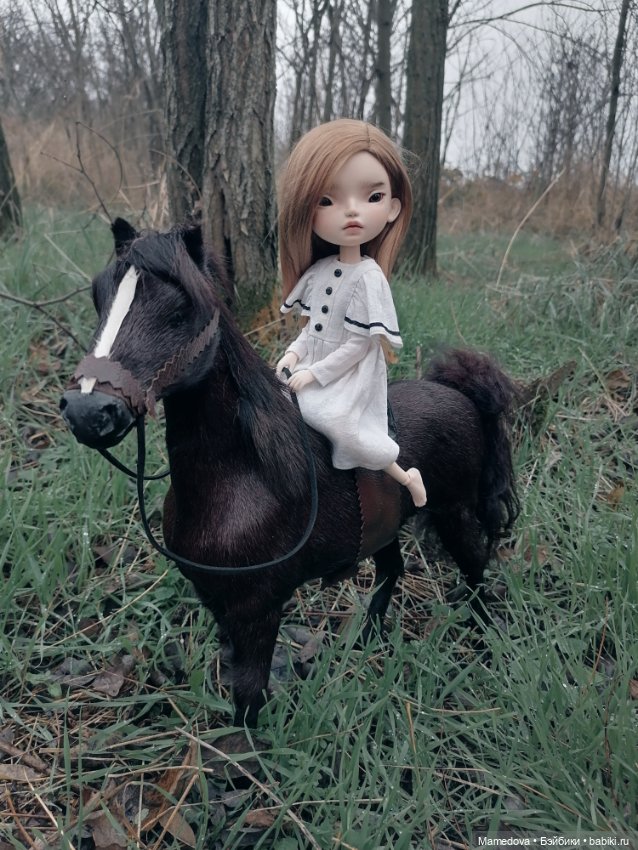 Уединение Сони — Авторские работы в частных коллекциях: домашние фото кукол и игрушек (фото 2)