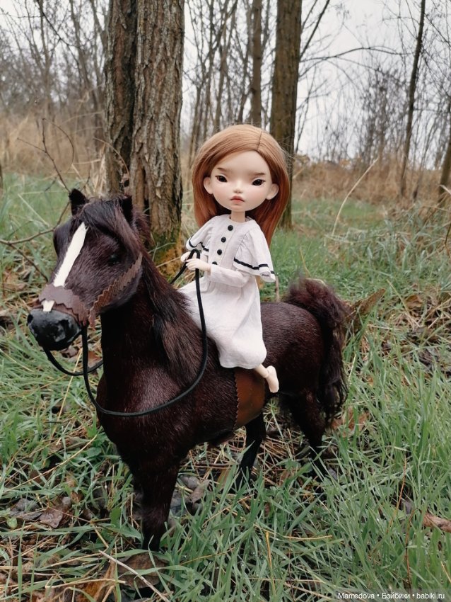 Уединение Сони — Авторские работы в частных коллекциях: домашние фото кукол и игрушек (фото 3)