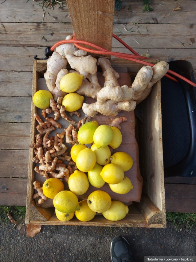 Fashion Dolls 443 — Туризм и путешествия: фотоотчеты из поездок