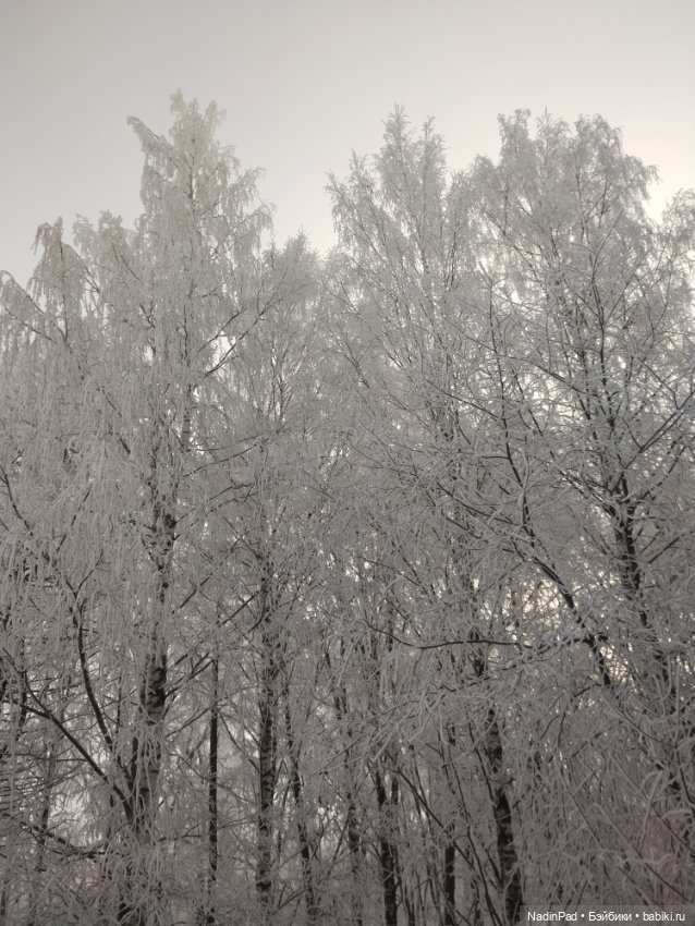 Просто Зима — Интересное обо всем: поздравления