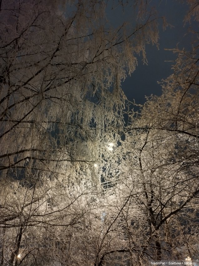 Просто Зима — Интересное обо всем: поздравления (фото 3)