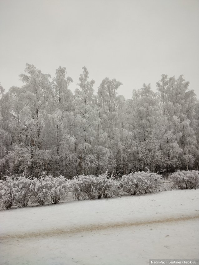 Просто Зима — Интересное обо всем: поздравления (фото 6)