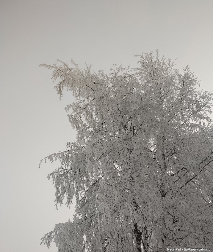 Просто Зима — Интересное обо всем: поздравления (фото 8)