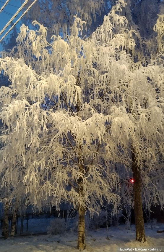 Просто Зима — Интересное обо всем: поздравления